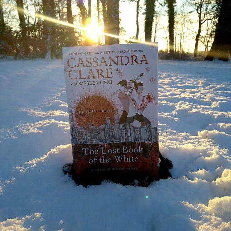 the lost book of the white by cassandra clare placed outside on the snow with the sun setting in the background